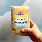 Conduit Coffee Company
